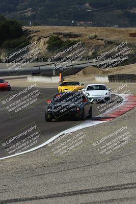 media/Aug-23-2024-Speed Ventures (Fri) [[92f1efc5e7]]/Green/Session 1 (Turn 3)/